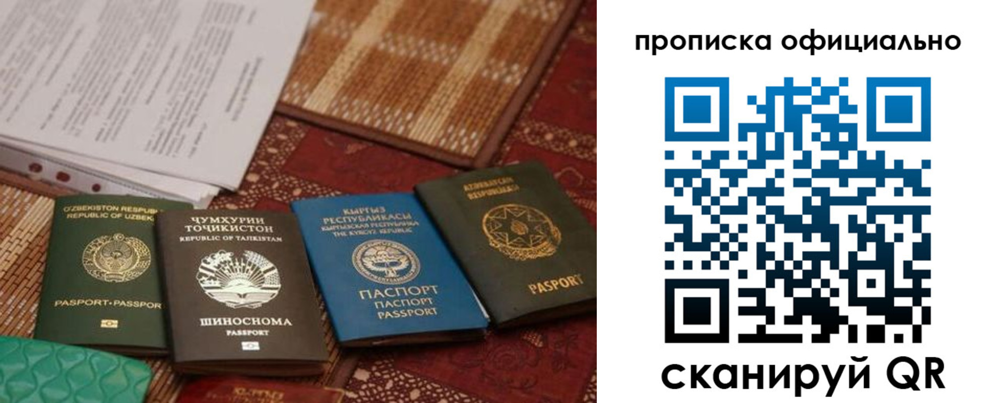 где прописаться в Сертолово